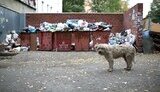 мусор,челябинск
