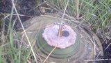 сбу взрывчатка ато растяжка диверсия