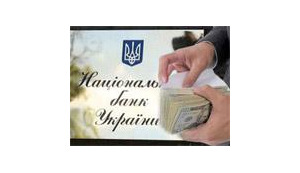 Party of Regions Deputy Kinah on Currency Tax: This is Unacceptable. Government Has No Right to Make Chaotic Decisions