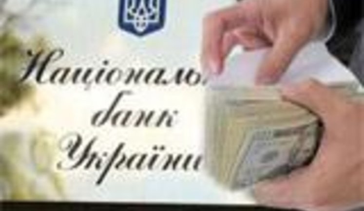 Party of Regions Deputy Kinah on Currency Tax: This is Unacceptable. Government Has No Right to Make Chaotic Decisions