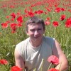 валентин паламарчук #389225