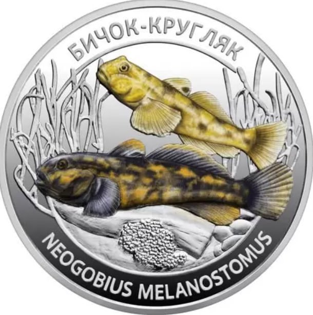 Нацбанк випустив нові пам'ятні монети "Мешканці морських глибин"