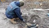 дснс,ірпінь