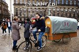 Job wanted