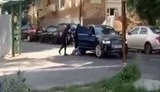 нападение зоологическая