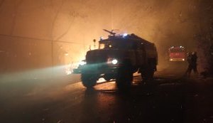 В Луганской области масштабные пожары леса, погибли 4 человека. ВИДЕО
