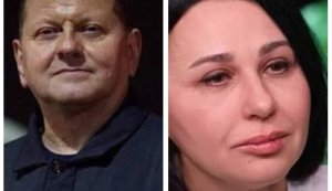 залужний,мосейчук