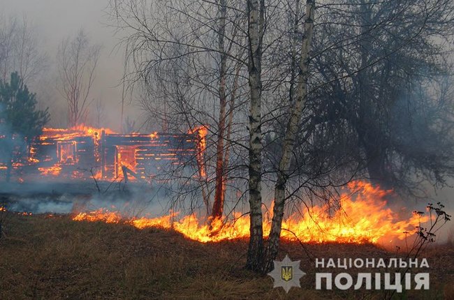 Полиция расследует причины масштабных пожаров на Житомирщине: уничтожены тысячи гектаров леса и десятки домов 01