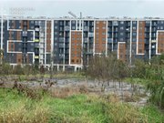 Правоохоронці відреагували на маштабне забруднення земельної ділянки – директору підприємства повідомлено про підозру