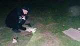 нацполиция