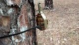 ірпінь,розмінування