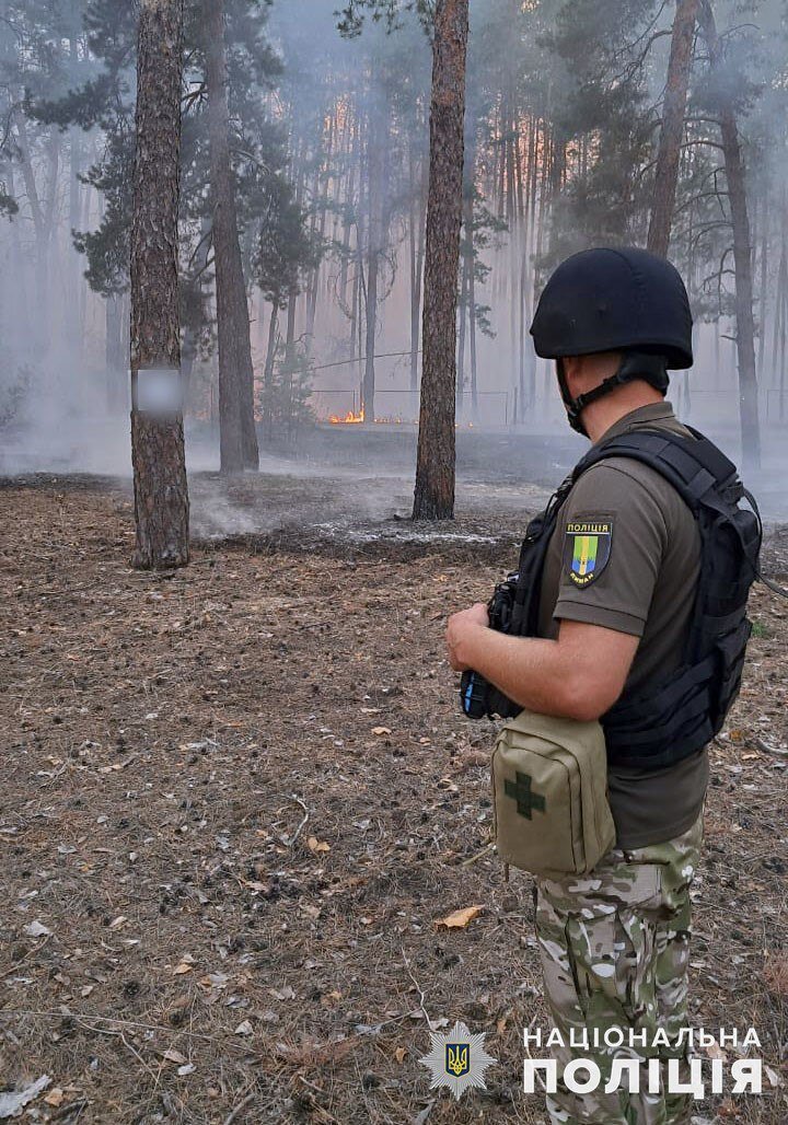 Донеччина