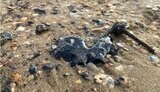 Мазут продовжують збирати у Севастополі