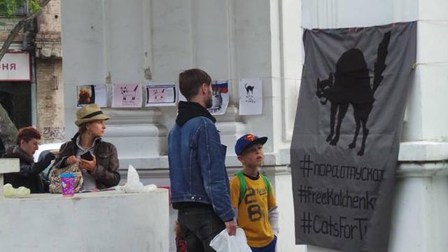 Акция-выставка #CatsForTundra в поддержку украинского политзаключенного в РФ Александра Кольченко прошла в Киеве 03