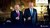 Віктор Орбан та Дональд Трамп