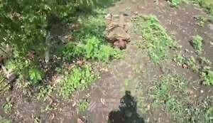 Occupant tried to blow himself up with a grenade along with an AFU serviceman. VIDEO