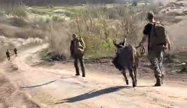 Donkey walking along field road with four Russian occupiers: "F#cking hell. What f#ck you can see here". VIDEO
