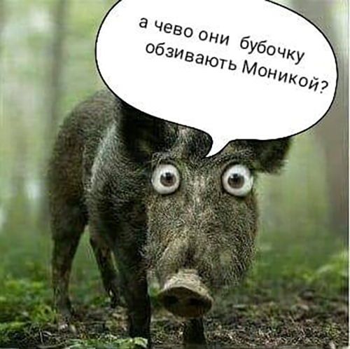 Не всем понятно...