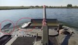 бмп,риба