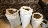Патрульный за взятки покрывал нелегальную добычу янтаря на Ривненщине. ФОТОрепортаж