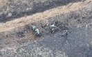 war