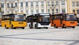 Автобусы ЗАЗ получат европейскую сертификацию