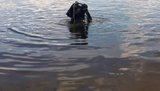 В озері Качине в Києві потонув чоловік, - ДСНС