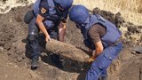 Упродовж тижня рятувальники зі складу ОС знешкодили 247 вибухонебезпечних предметів. ФОТО