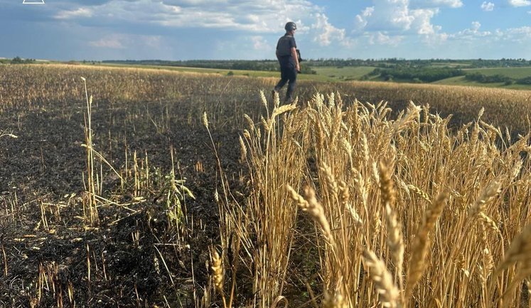 В Запорожской области из-за российских ударов потеряли более 1800 гектаров посевов