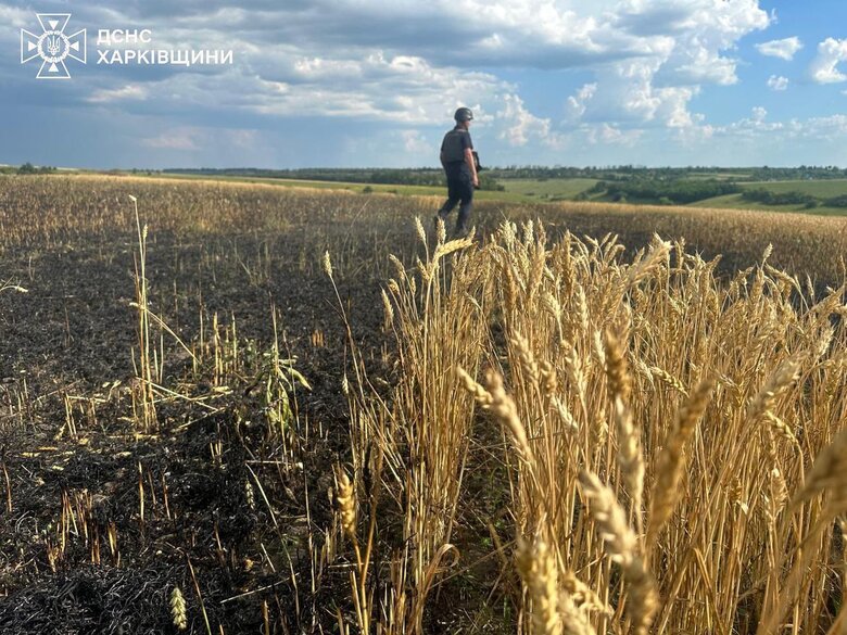 Наслідки удару РФ по полю