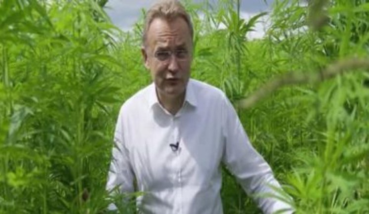 "Підтримай українське": Садовий записав ролик на конопляному полі. ВIДЕО
