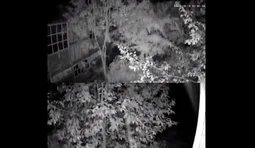 Attack on a power substation in the Bryansk region