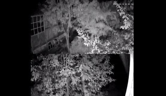 Attack on a power substation in the Bryansk region