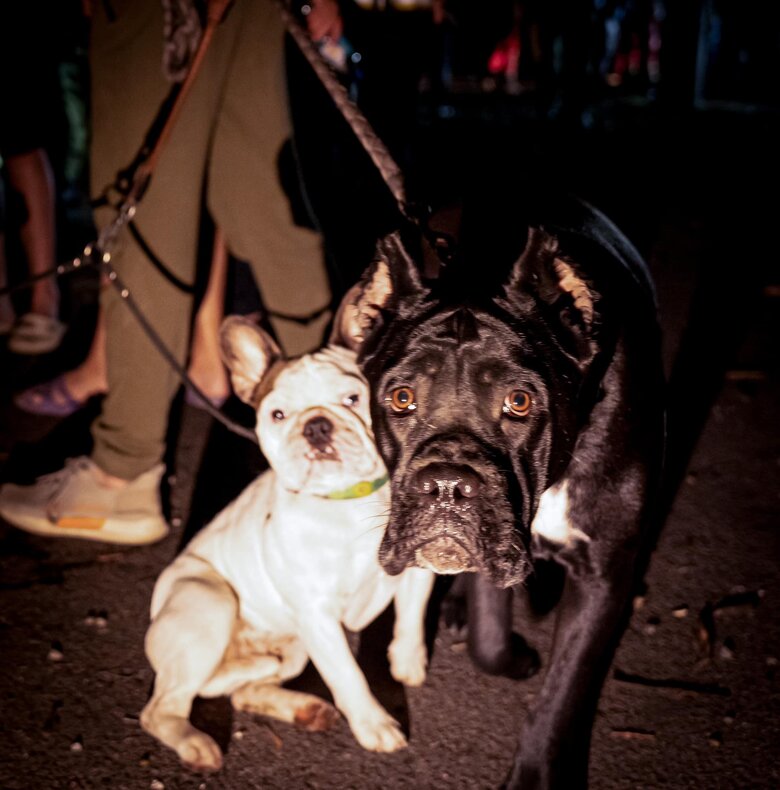 Терористичний удар по Одесі: ДСНСівці рятують людей та ікони з понівеченого Спасо-Преображенського собору 06