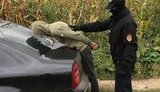 Преступная группировка, изготовлявшая крупные партии наркотиков, ликвидирована на Закарпатье, - СБУ. ФОТОрепортаж