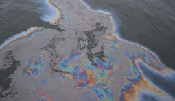 Oil slicks discovered on two beaches in Odesa