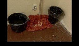 Все на своих местах...