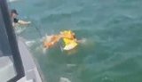 Водные полицейские Херсонщины спасли девушку, которую унесло на матрасе в открытое море. ВИДЕО+ФОТО
