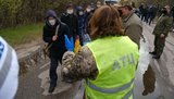 Звільнені з полону українці повідомляють про катування, зґвалтування і нелюдське поводження, - Офіс генпрокурора