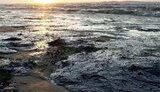 Последствия разлива нефтепродуктов в Керченском проливе будут ощущаться десятки лет, - экологи