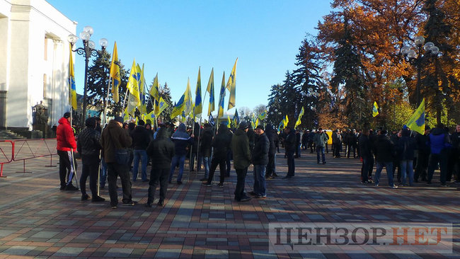Rally outside Ukrainian parliament: Owners of cars registered abroad demanding affordable customs clearance rates for their vehicles 07
