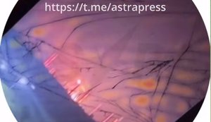 Drones have attacked Leningrad Region: one of Russia’s largest oil refineries – ’Kirishinefteorgsintez’ – is believed to be on fire. VIDEO