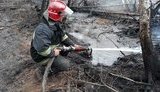 Пожежі в Овруцькому та Олевському районах Житомирщини локалізовано, одну - ліквідовано, - ДСНС