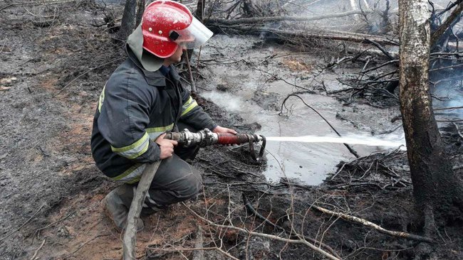 Пожежі в Овруцькому та Олевському районах Житомирщини локалізовано, одну - ліквідовано, - ДСНС 01
