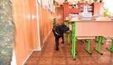 школа проверка