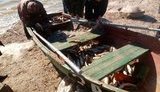 С 1 апреля в Украине введен запрет на ловлю рыбы, – Госрыбагентство