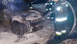 До 15 років засудили палія