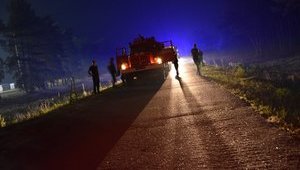 Лісові пожежі на Луганщині: до ліквідації НП залучені вже 444 військовослужбовці, 8 вертольотів Мі-8 та БПЛА. Ситуація на передовій повністю контролюється