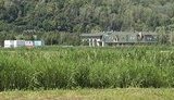 В имении Ющенко гуляют страус и козы. Экс-президента в Новых Безрадичах видели месяц назад. + ВИДЕО.