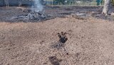 білозерка